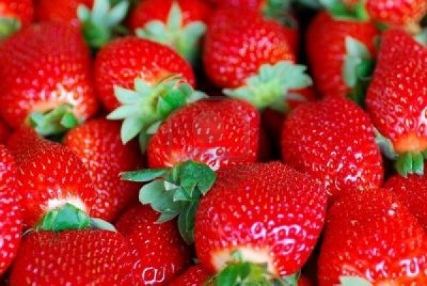 fresh strawberries healthier option than dried strawberries