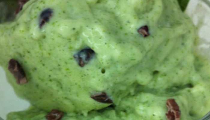 Mint Chocolate Chip Protein Ice