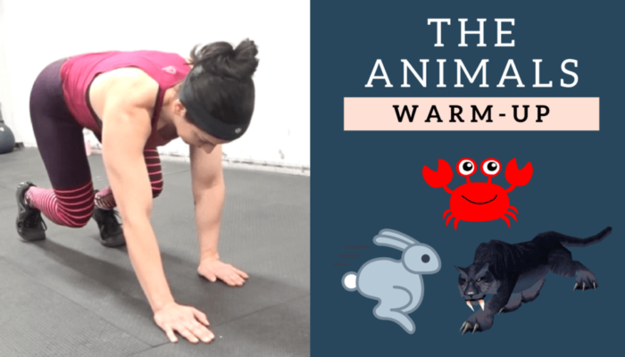 The Animals Warm-Up